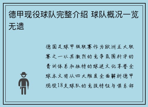 德甲现役球队完整介绍 球队概况一览无遗